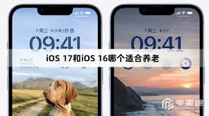 iOS17哪个版本最适合老年人使用