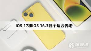 iOS17哪个版本最适合老年人使用