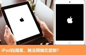 iPad卡在白苹果开不了机怎么办