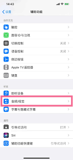 iPhone电话降噪与语音突显功能区别是什么