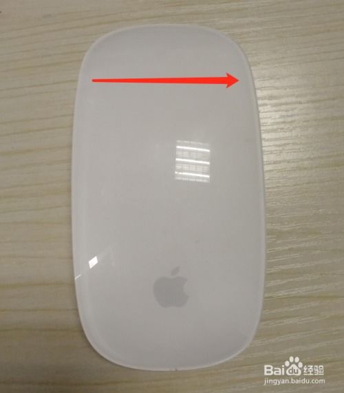 AppleMagicMouse无法连接Mac的解决方法