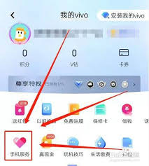 vivo爱奇艺如何取消自动续费