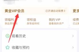 如何关闭爱奇艺VIP自动续费