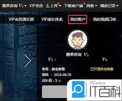 如何关闭爱奇艺VIP自动续费