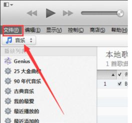 iTunes错误2009如何解决