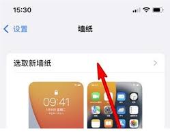苹果13mini更换壁纸主题教程