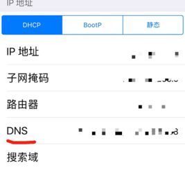 苹果手机DNS设置方法