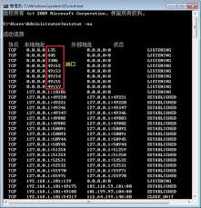 443端口和80端口在网络安全中有何不同