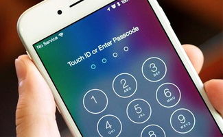 iphone忘了锁屏密码怎么解决
