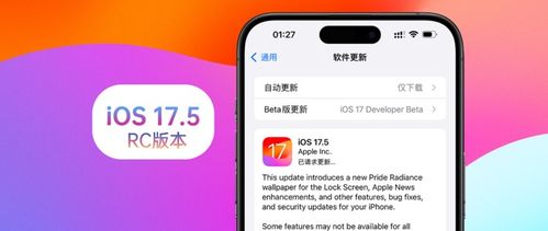 iOS17.5如何设置AppleCash虚拟卡号