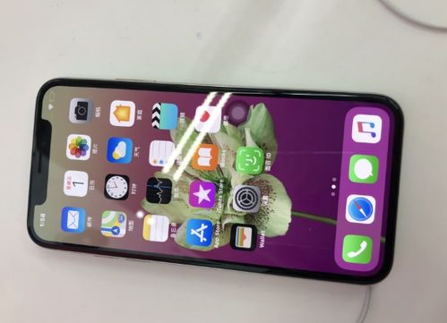 iphonex如何关闭横屏显示