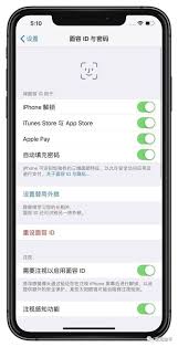 ios14能否设置两个面容识别