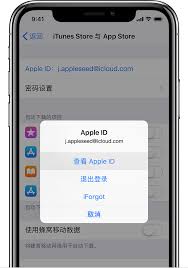 Apple ID在哪里查看