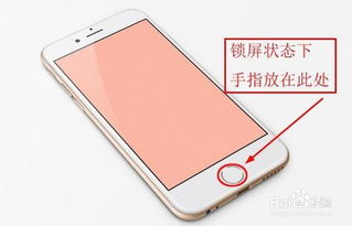 微信支付中iPhone密码忘了？快速找回指南