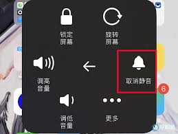 苹果手机静音模式如何取消