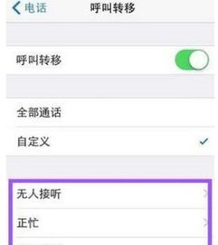 苹果7如何设置呼叫转移