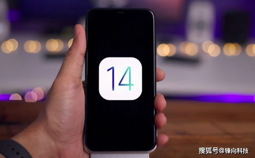 iPhone如何利用iOS17自动删除短信验证码