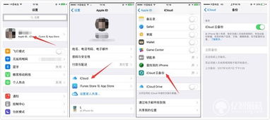 如何在iPhone上备份所有联系人