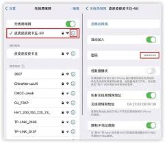 iPhone已连接WiFi密码怎么看