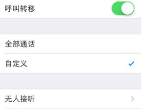苹果手机如何设置呼叫转移？轻松掌握转移技巧