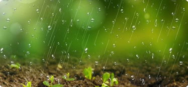 醒图怎么添加雨水效果