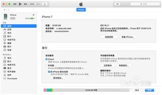 苹果手机备份恢复指南