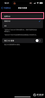 ios15如何启用5G