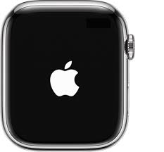 AppleWatch双击手势失效怎么办