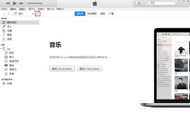 如何恢复已删除的照片和视频在iPhone