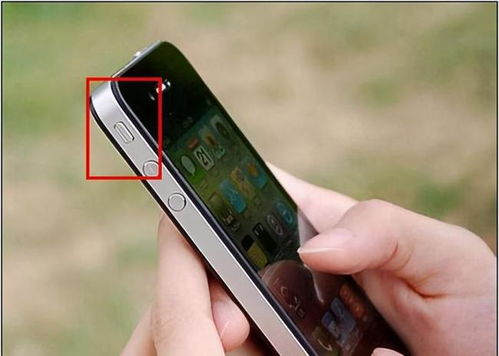 iPhone静音开关不起作用？轻松修复技巧