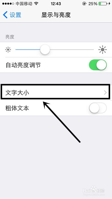 苹果手机如何调整文字大小