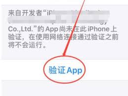 苹果手机应用验证步骤详解