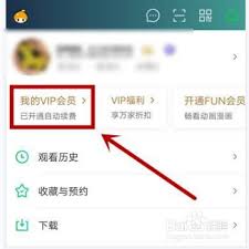 爱奇艺怎么关闭会员自动续费