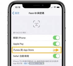 苹果手机人脸识别下载应用步骤