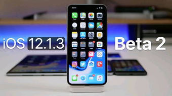 如何将你的苹果iOS设备从iOS17.2测试版更新到正式版