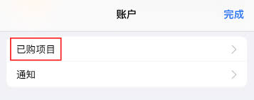 如何在iPhone上查看和重新下载已购应用