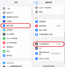 掌握iPhone应用切换的下方横线操作方法