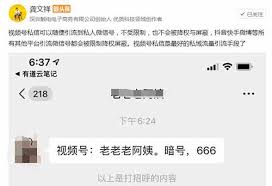 视频号私信如何发微信号