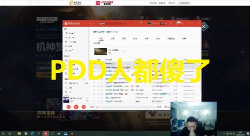 PDD消费总额怎么查询