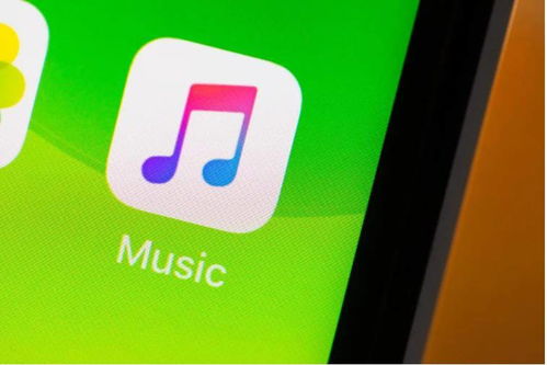 AppleMusic中如何启用空间音频功能