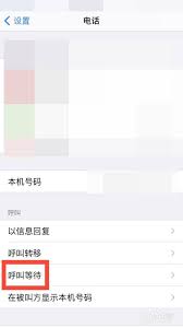 苹果手机如何设置呼叫等待