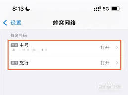 苹果13如何禁用5G网络