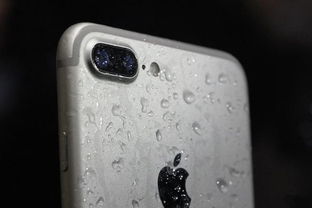 iphone7plus如何开启热点