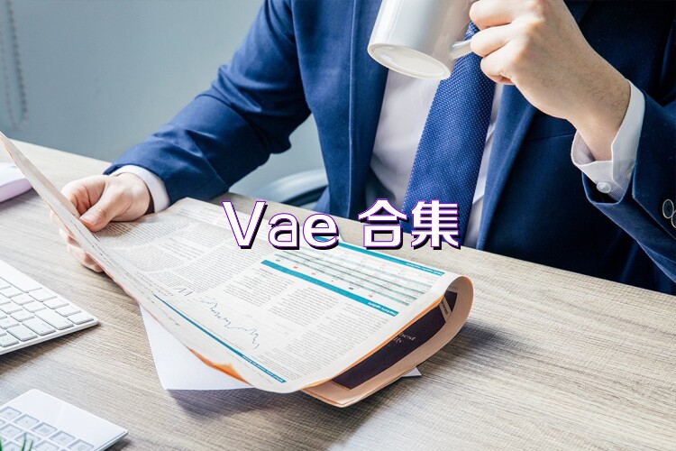 Vae+合集