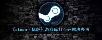 手机版Steam加载不出怎么办