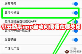 小云助手如何开启启动问候语
