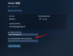 Steam手机版电子邮箱地址如何设置