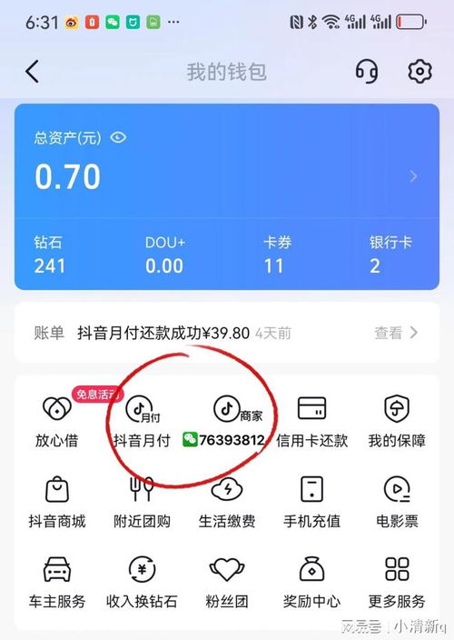 抖音月付没有分期功能怎么回事