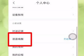 小爱同学语音唤醒功能如何设置