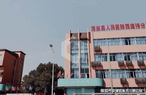 海易办怎么查询学区划分